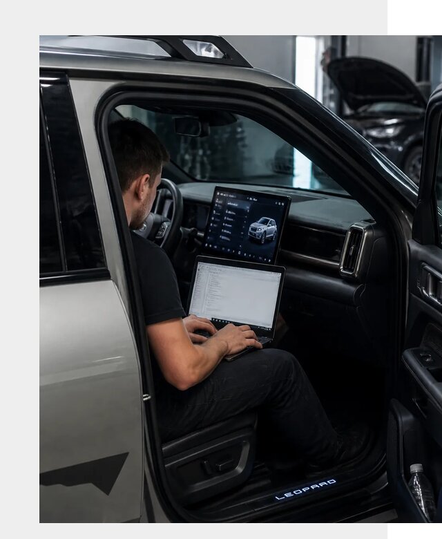 Русификация BYD Leopard 3 в Новотроицке по цене от 20831 р. | ФастМобиль-Нвт