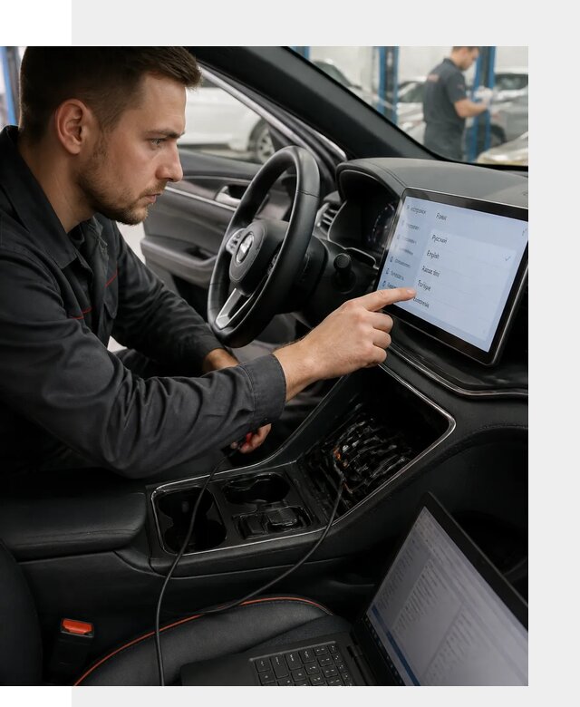 Профессиональная русификация BYD SONG Plus в Новотроицке